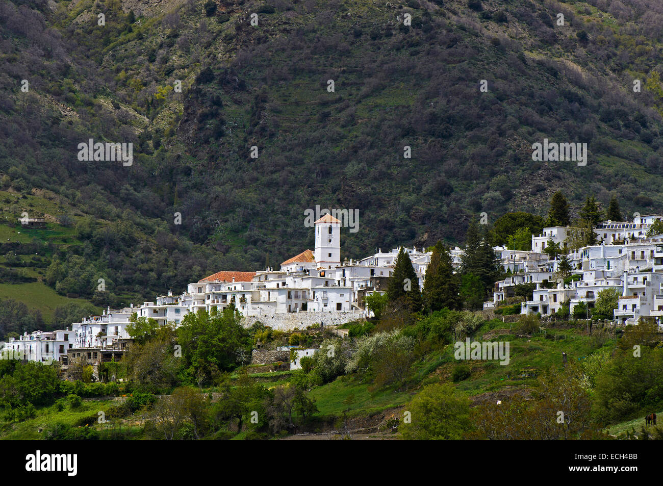 Village of Capileira, Alpujarras region, Andalusia, Spain Stock Photo