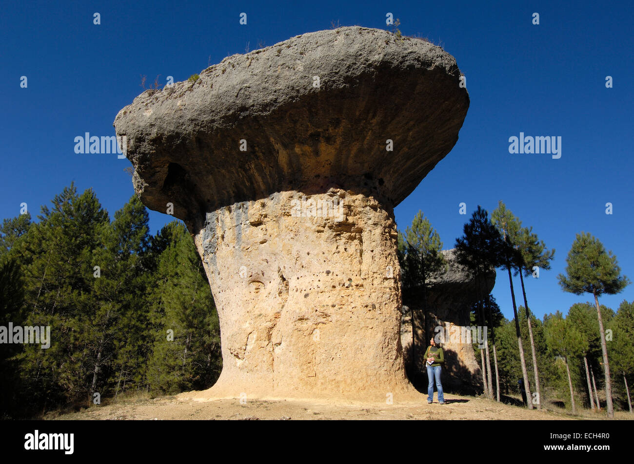 Fungus, rock formations at the Enchanted City, La Ciudad Encantada, Cuenca province, Castilla-La Mancha, Spain, Europe Stock Photo