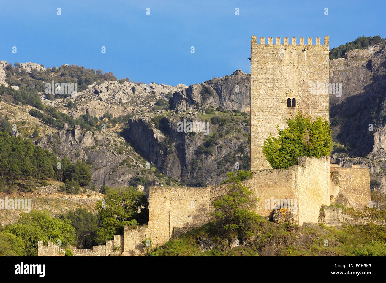 Yedra Castle in Cazorla village, Sierra de Cazorla Segura y Las Villas Natural Park, province of Jaén, Andalusia, Spain, Europe Stock Photo