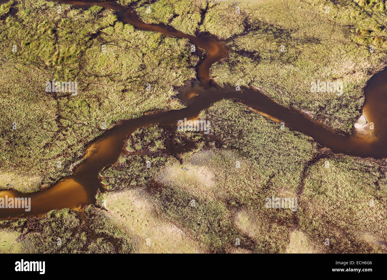 Freshwater marshes with sandy streams and channels, aerial view, Okavango Delta, Moremi Game Reserve, Botswana Stock Photo
