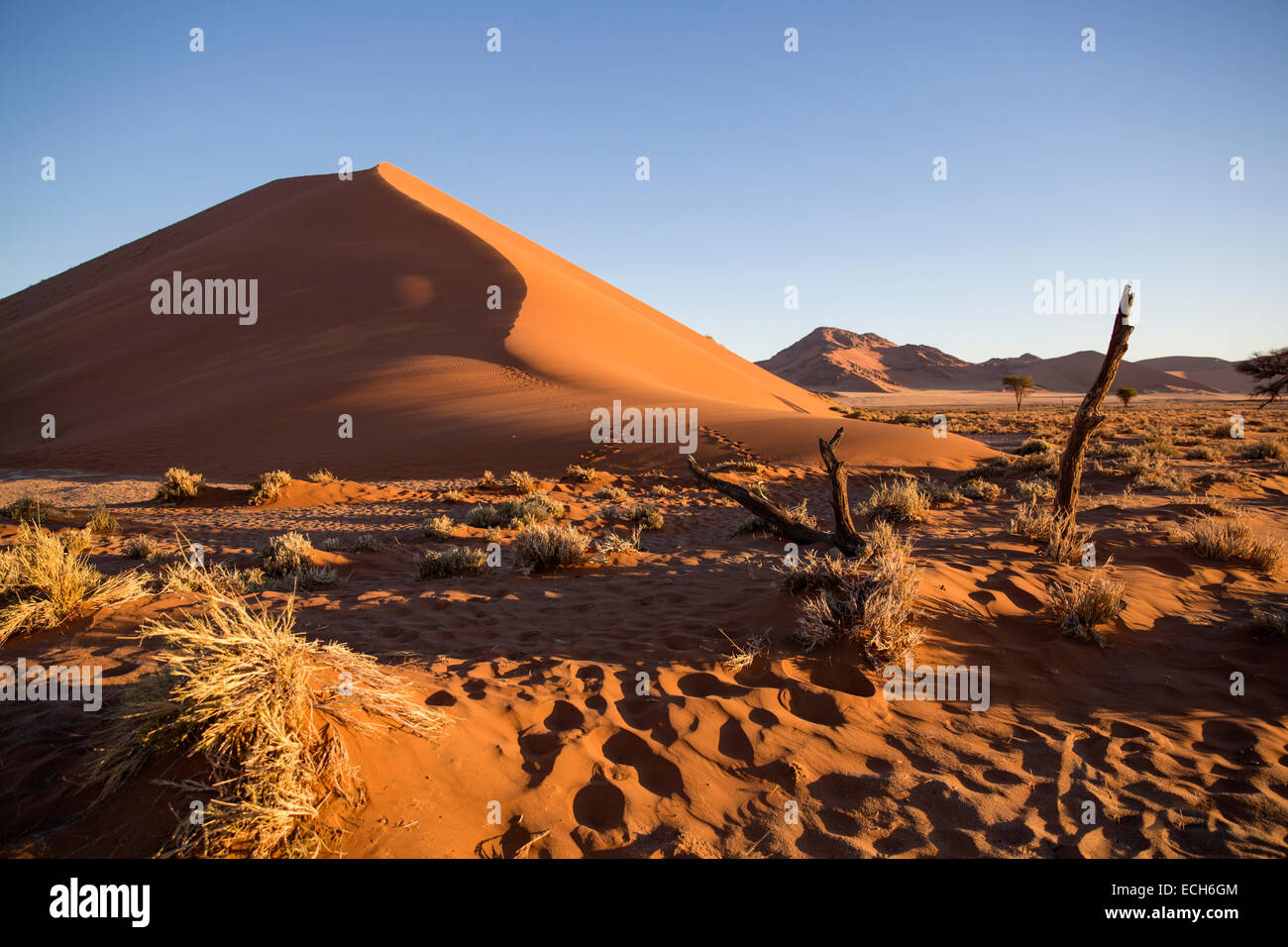 Sand dunes, Sossusvlei, Namib Desert, Namibia Stock Photo