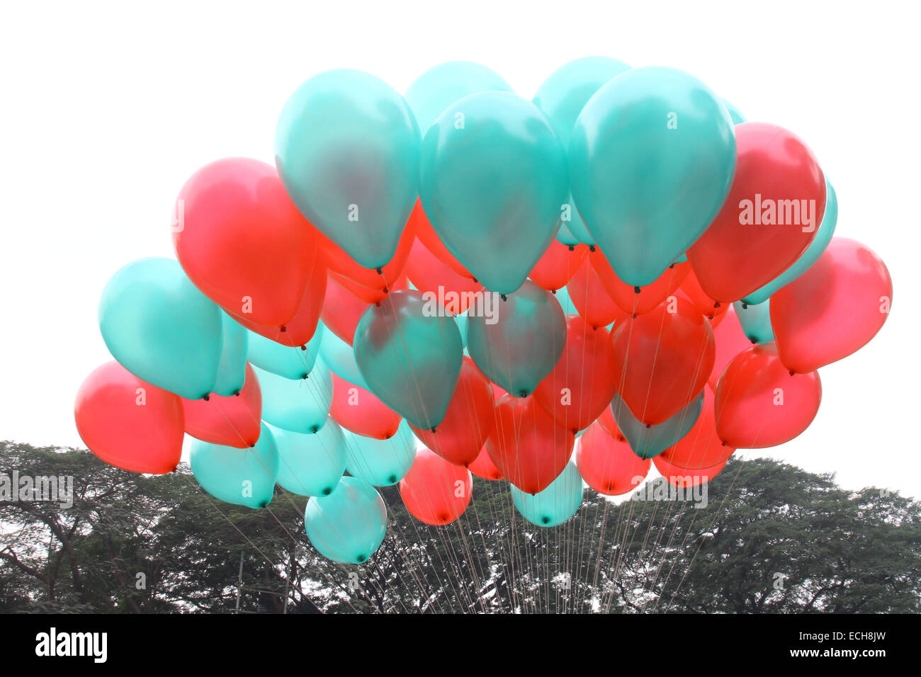 Dhaka 12014. Colorful balloons Stock Photo Alamy