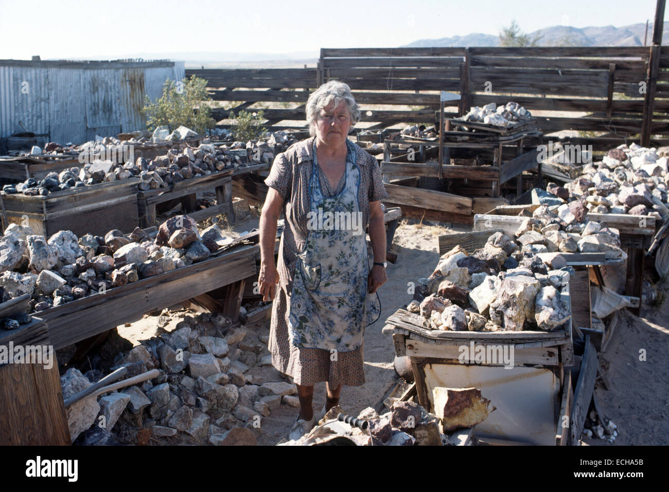 Old woman in Nevada desert with rock collection Stock Photo