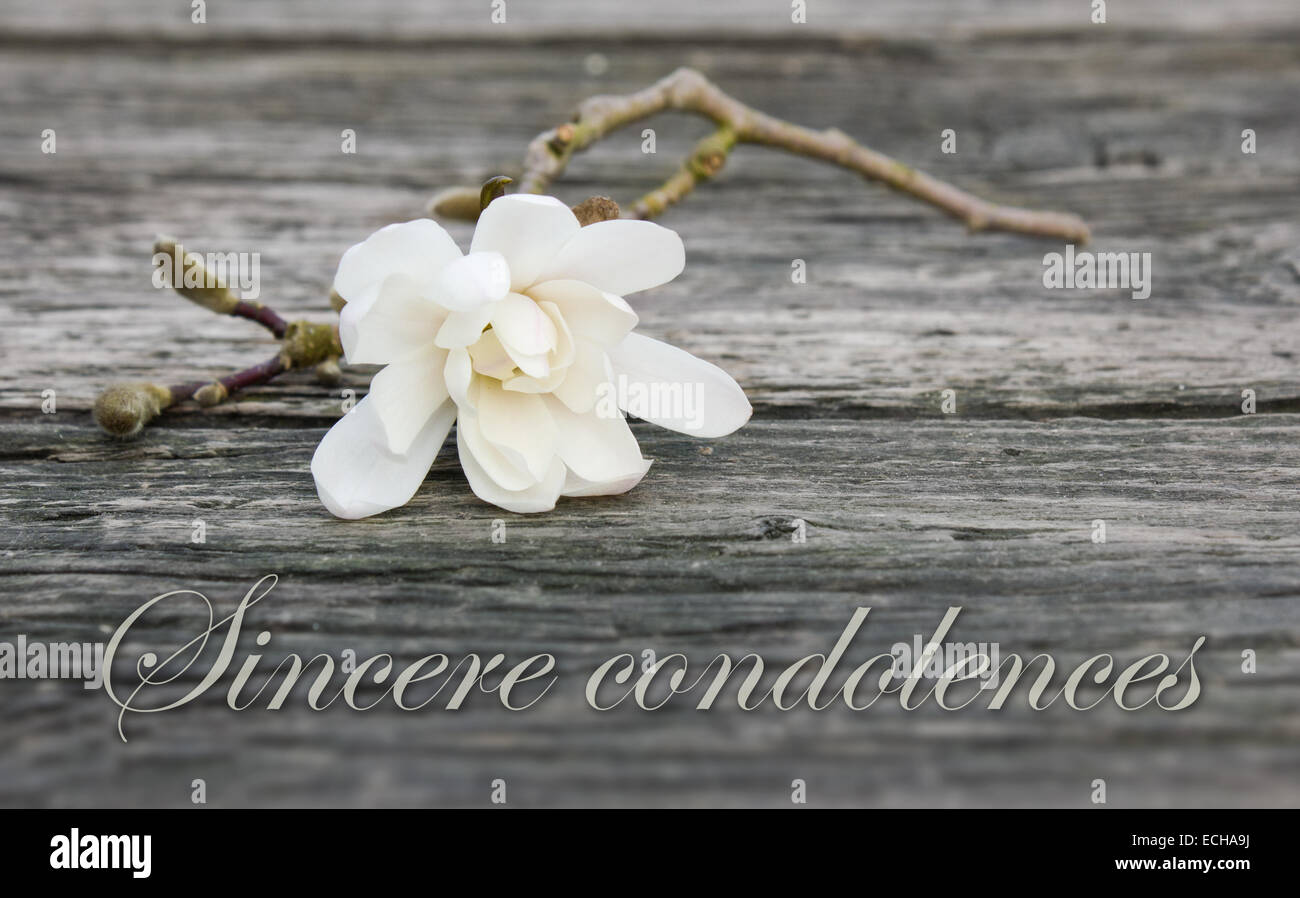 english mourning card with white magnolia Stock Photo