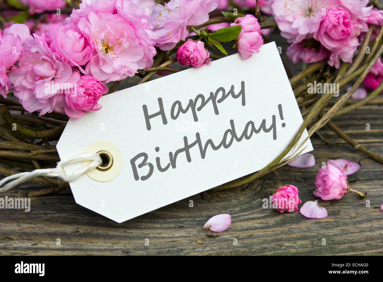 Stampo Taglio Dei Fiori Compleanno In Metallo Stampo Stampini Stampini - Foto 8