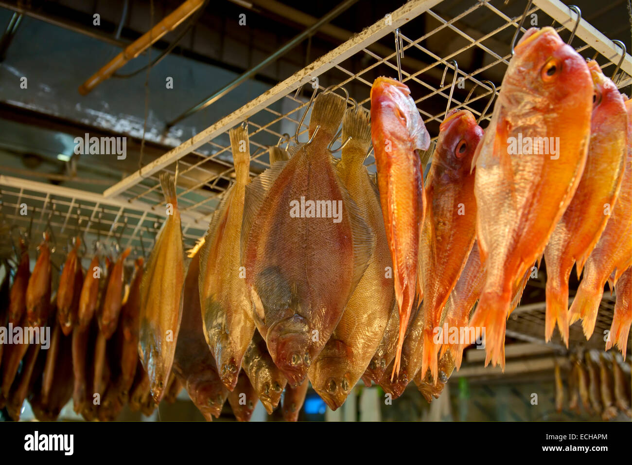 Dry fish in the market Stock Photo