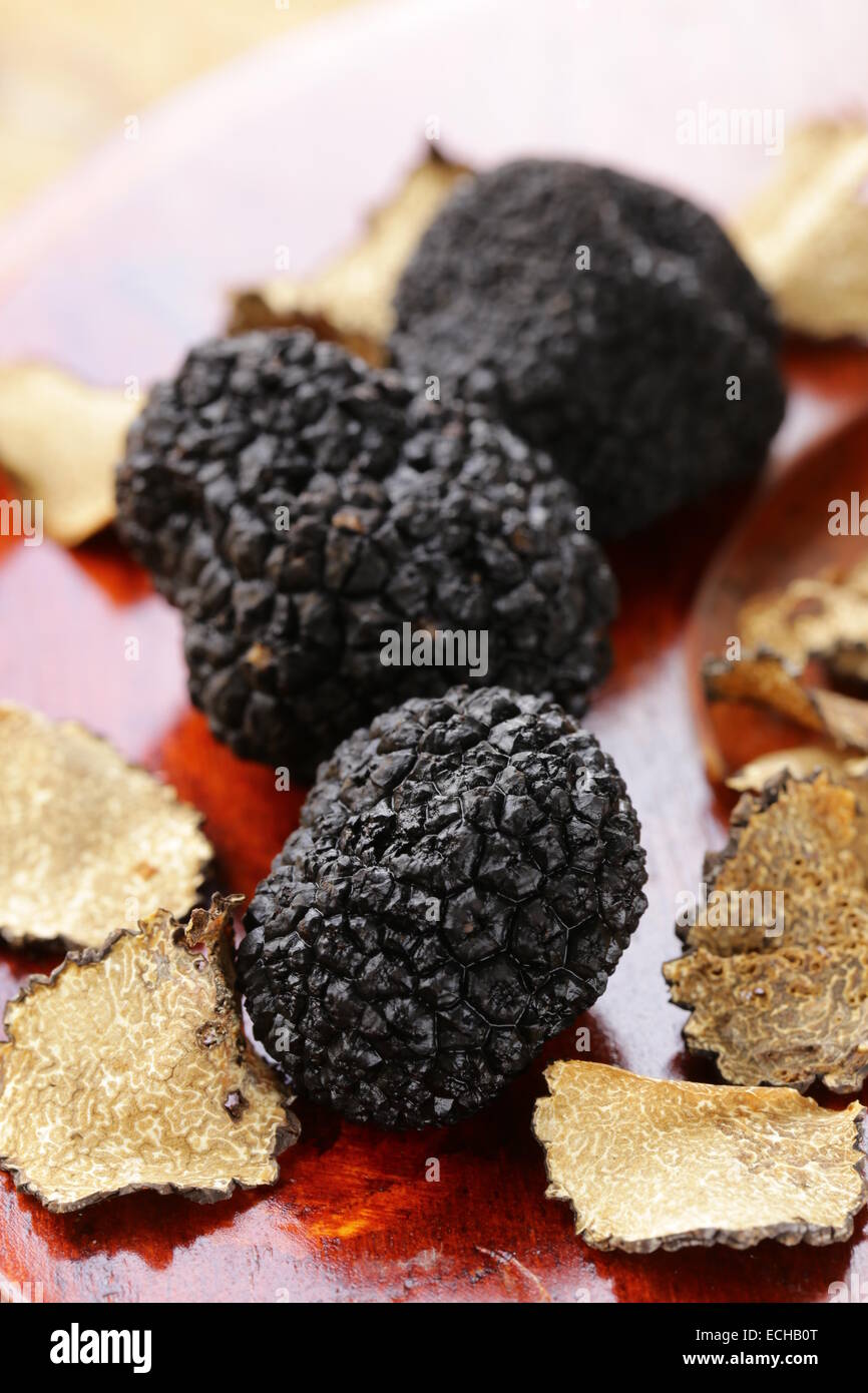 expensive rare black truffle mushroom - gourmet vegetable Stock Photo