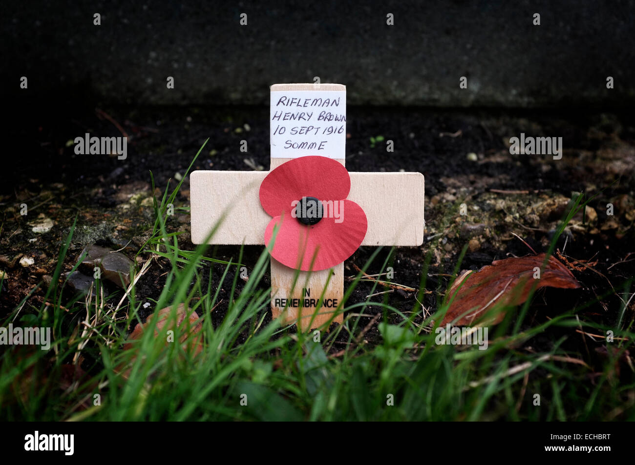 Remembrance Poppy Appeal wooden cross with a WW1 soldiers detail written on it. Stock Photo