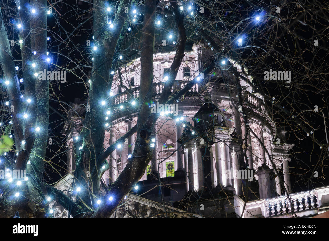 Christmas lights at Belfast City Hall Stock Photo Alamy