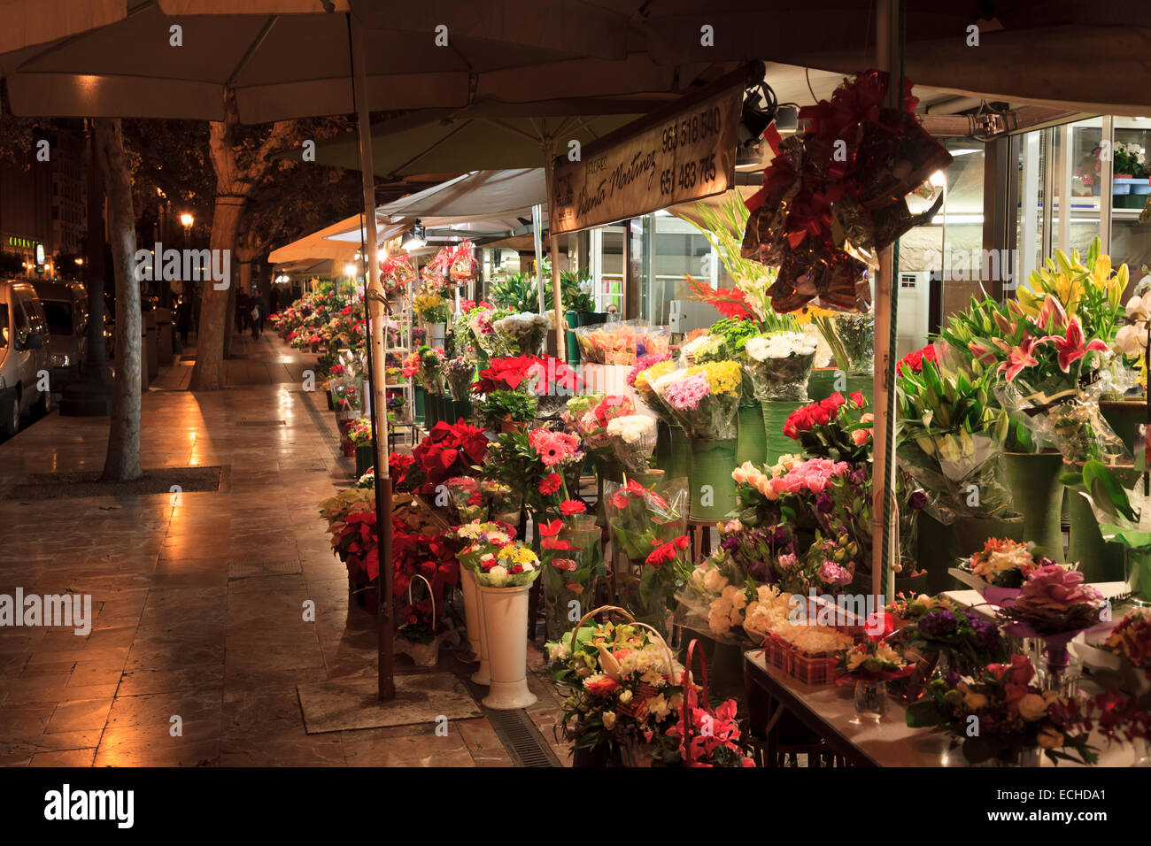Flower stalls in Valencia city centre at night Stock Photo Alamy