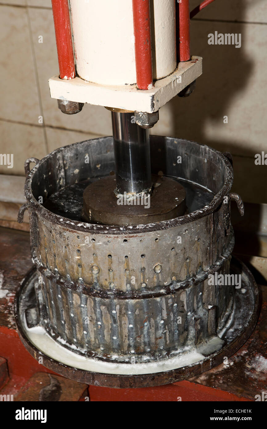 Mauritius, Mahebourg, Biscuiterie Rault Manioc Biscuit factory, chopped tapioca root being