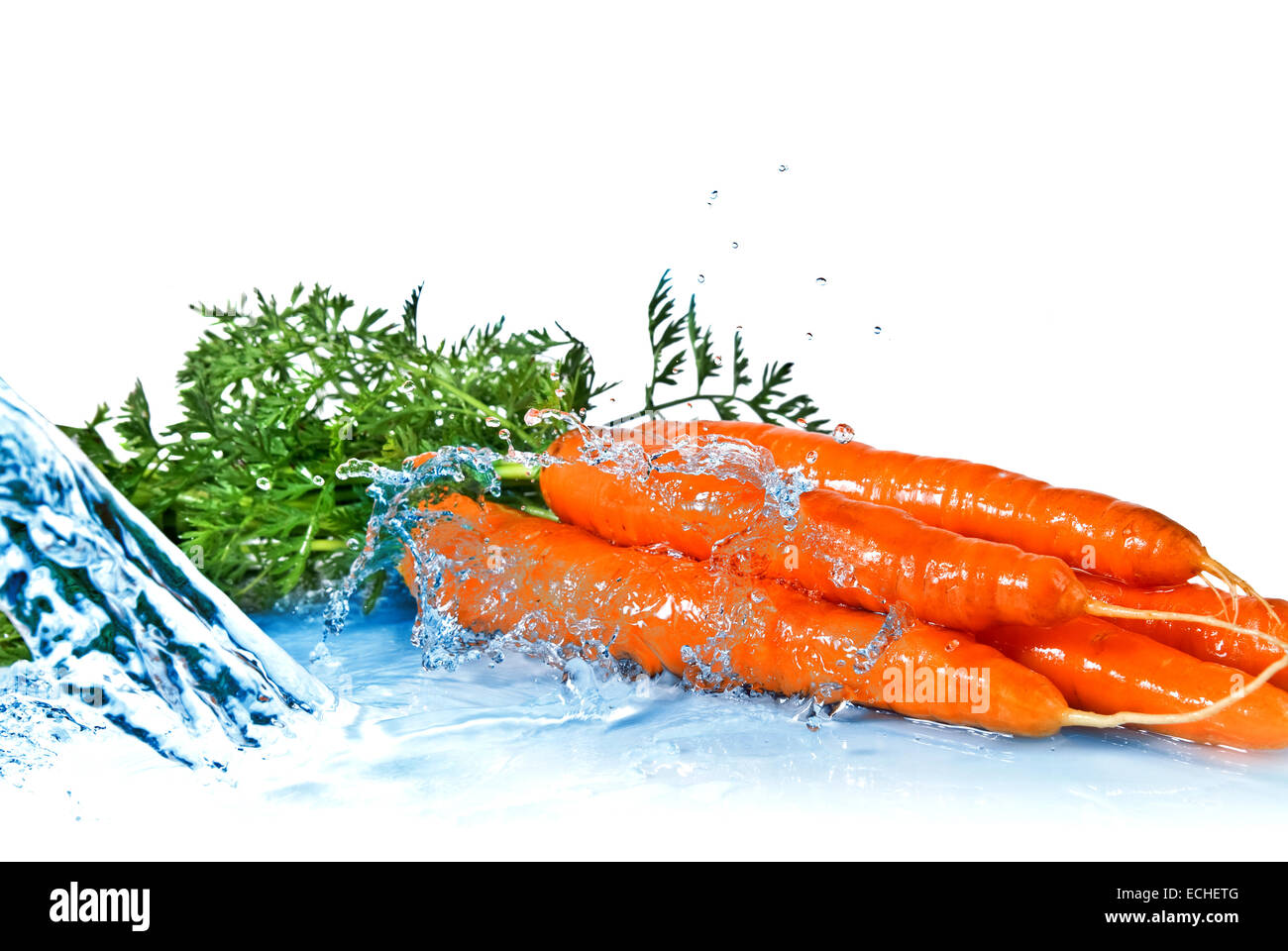 fresh water splash on carrot with leaves isolated on white Stock Photo