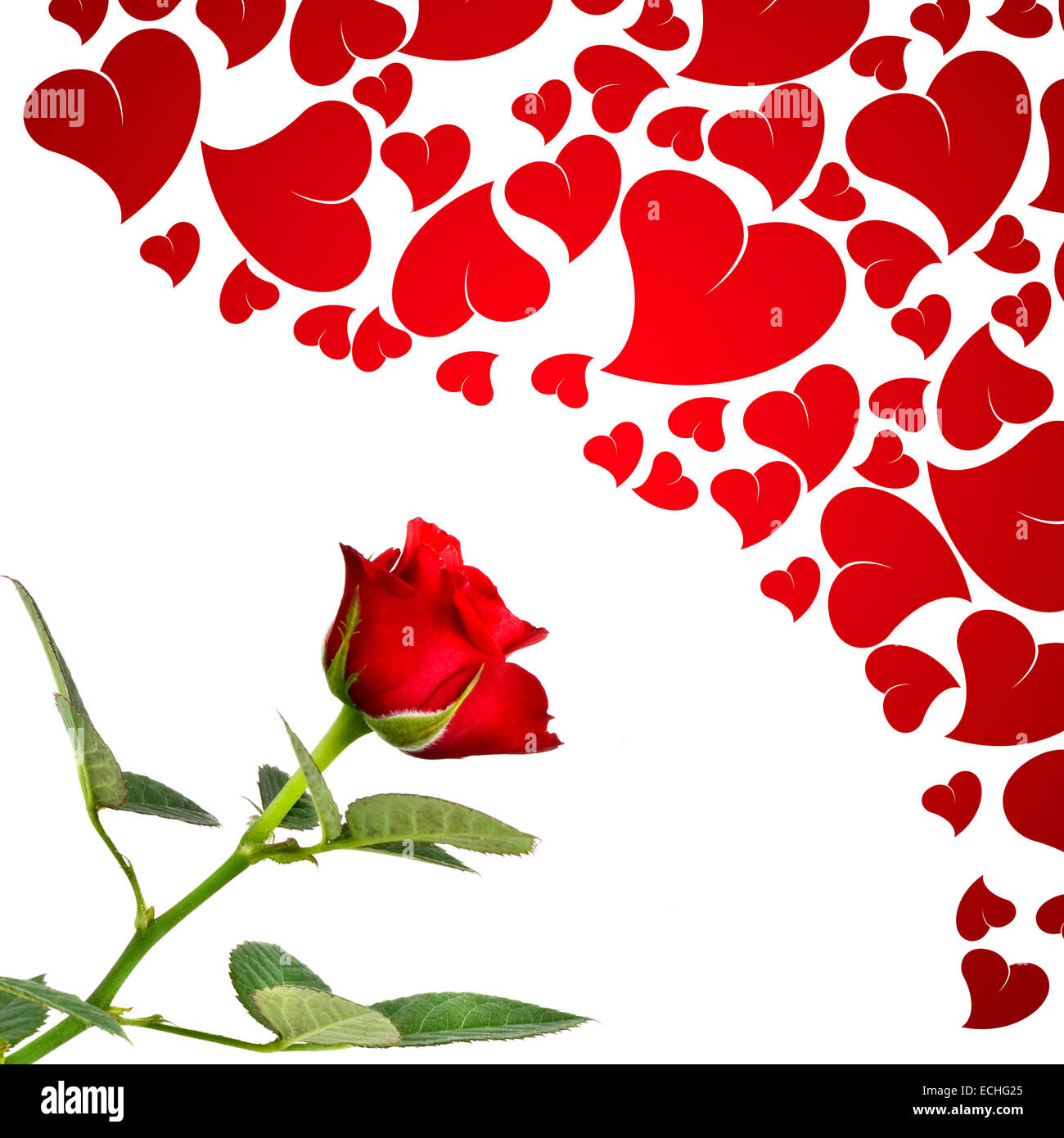 Red hearts green leaf hi-res stock photography and images - Alamy