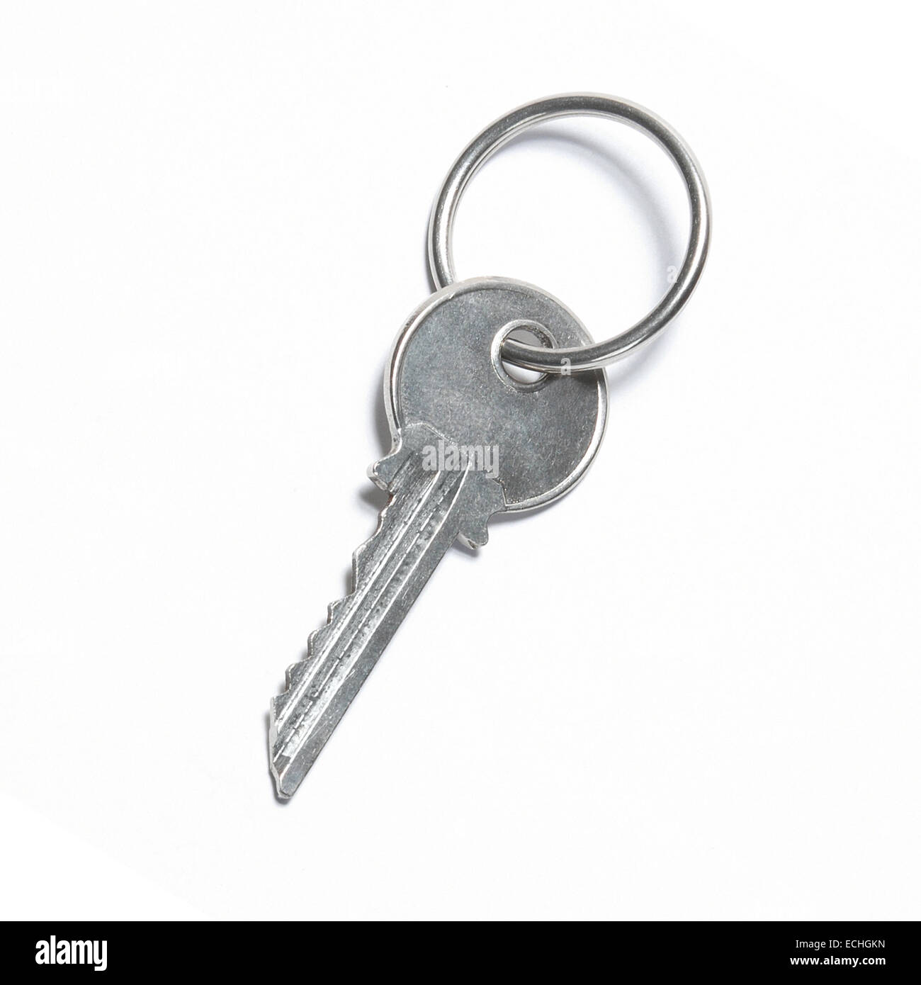 One silver key isolated on white background Stock Photo - Alamy