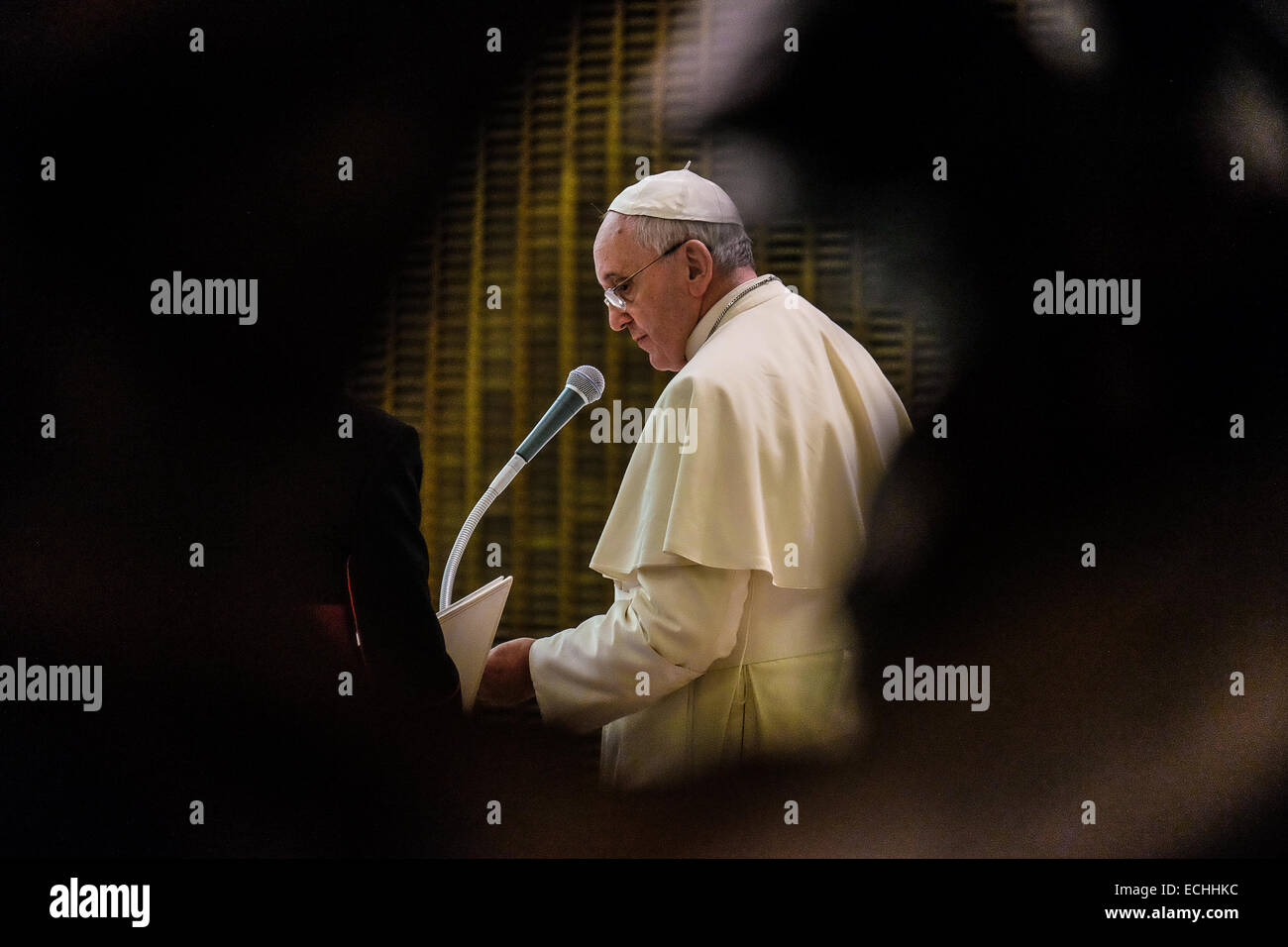 Paul VI Hall, Vatican City. 15th Dec, 2014. Pope Francis meet the communication operators Credit:  Realy Easy Star/Alamy Live News Stock Photo