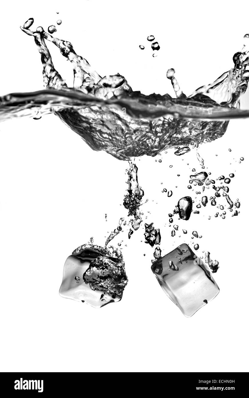 ice cubes dropped into water with splash isolated on white Stock Photo ...