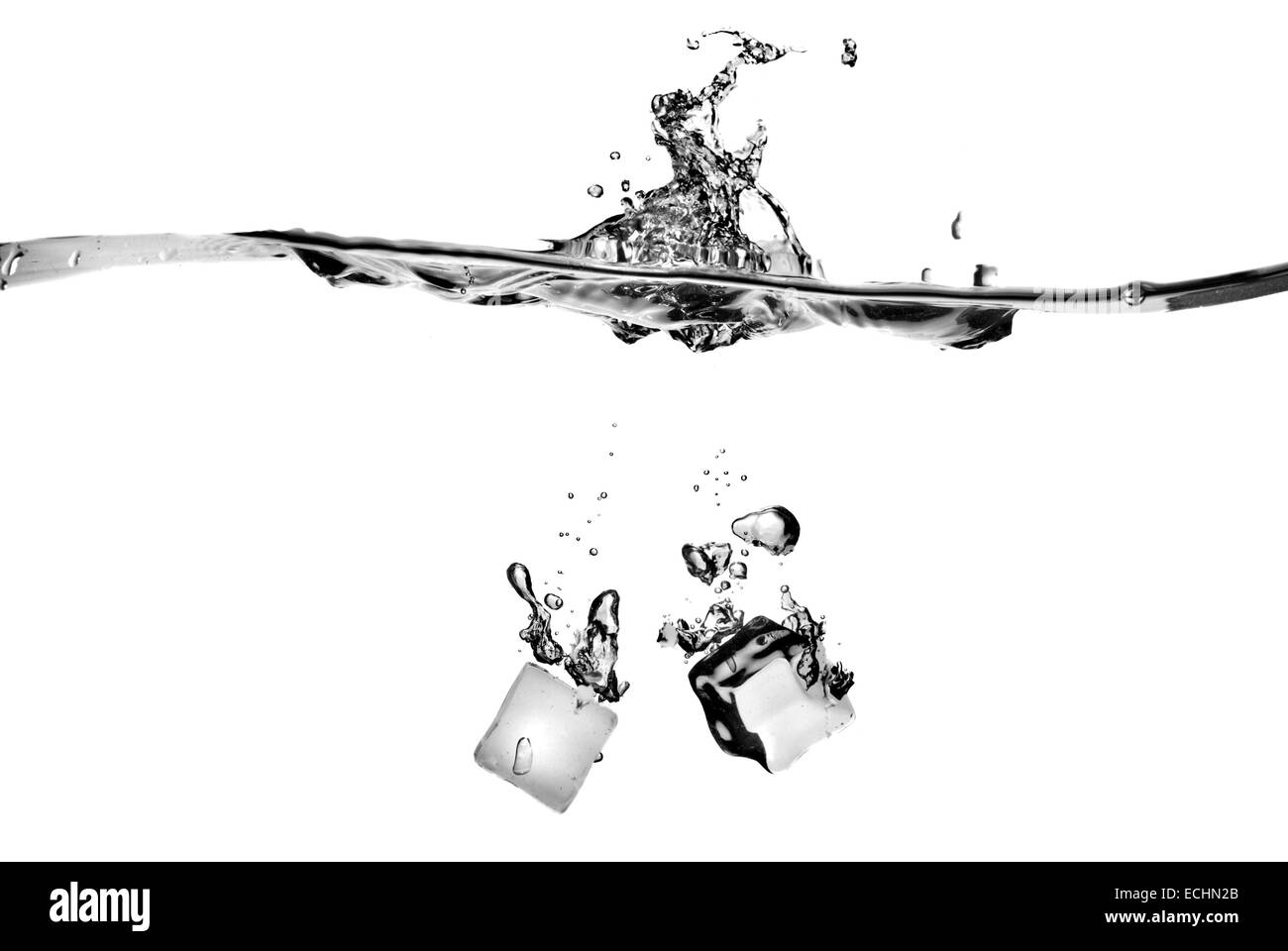 ice cubes dropped into water with splash isolated on white Stock Photo ...