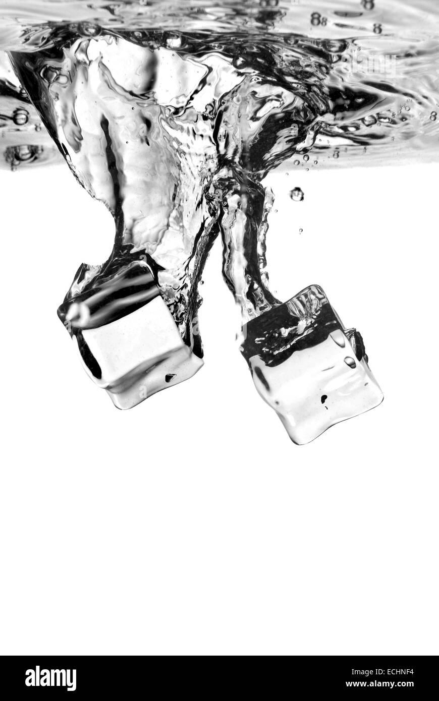 ice cubes dropped into water with splash isolated on white Stock Photo ...