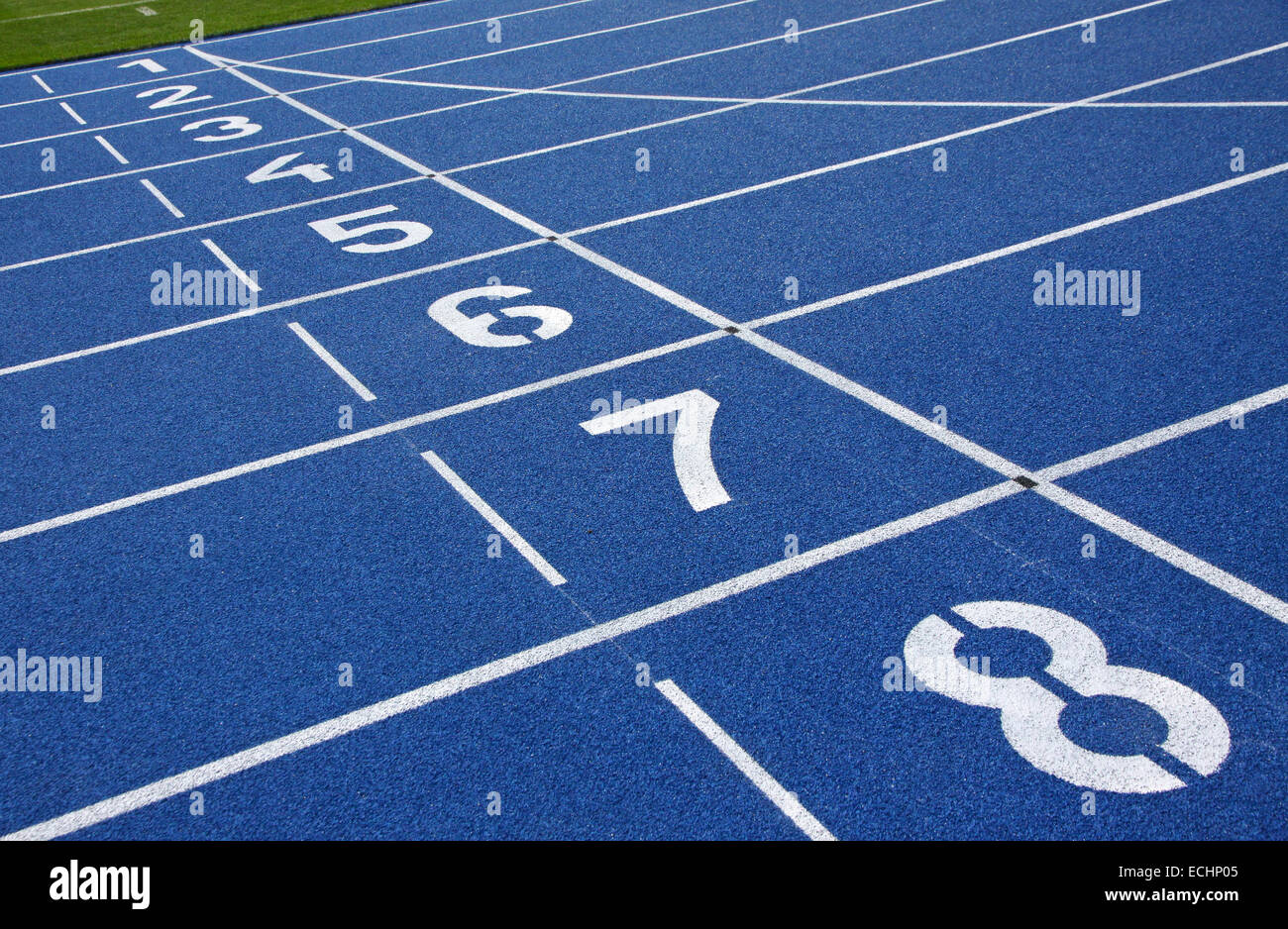 Starting grid of race track at the stadium Stock Photo