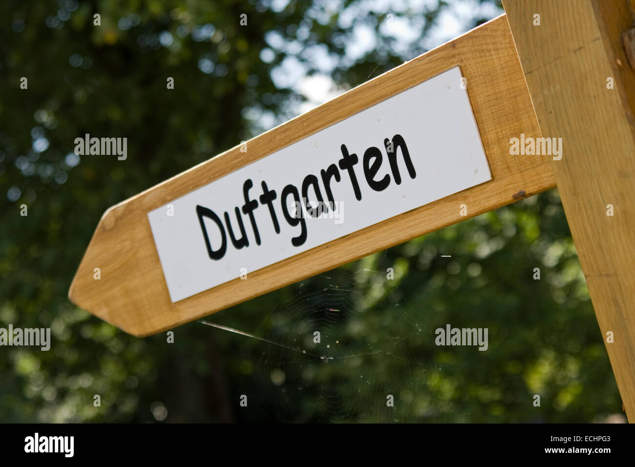 Europa, Deutschland, Schleswig Holstein, Norddeutschland, Uetersen, Rosarium, Wegweiser zum Duftgarten Stock Photo