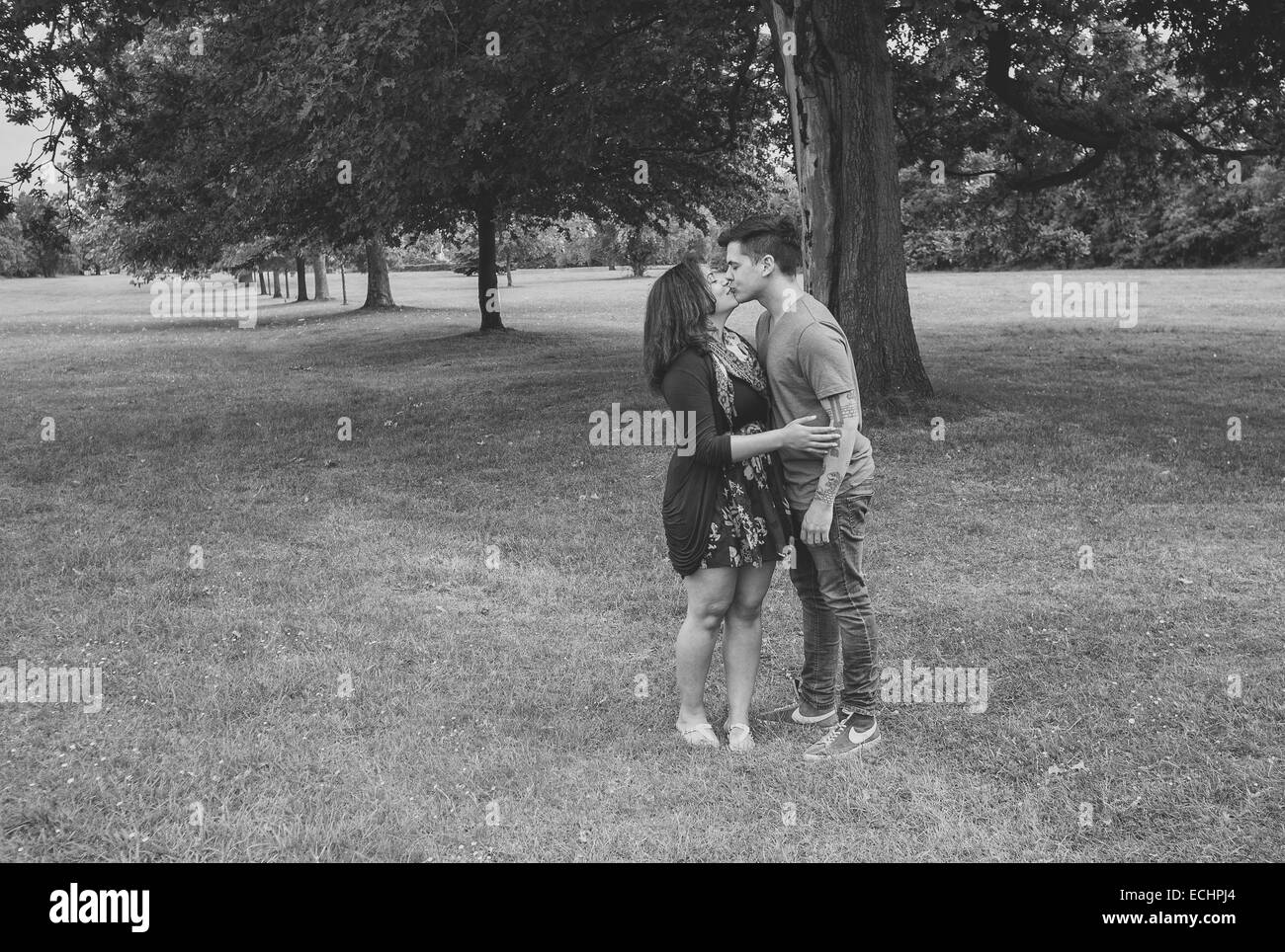 Couple of trees hi-res stock photography and images - Alamy