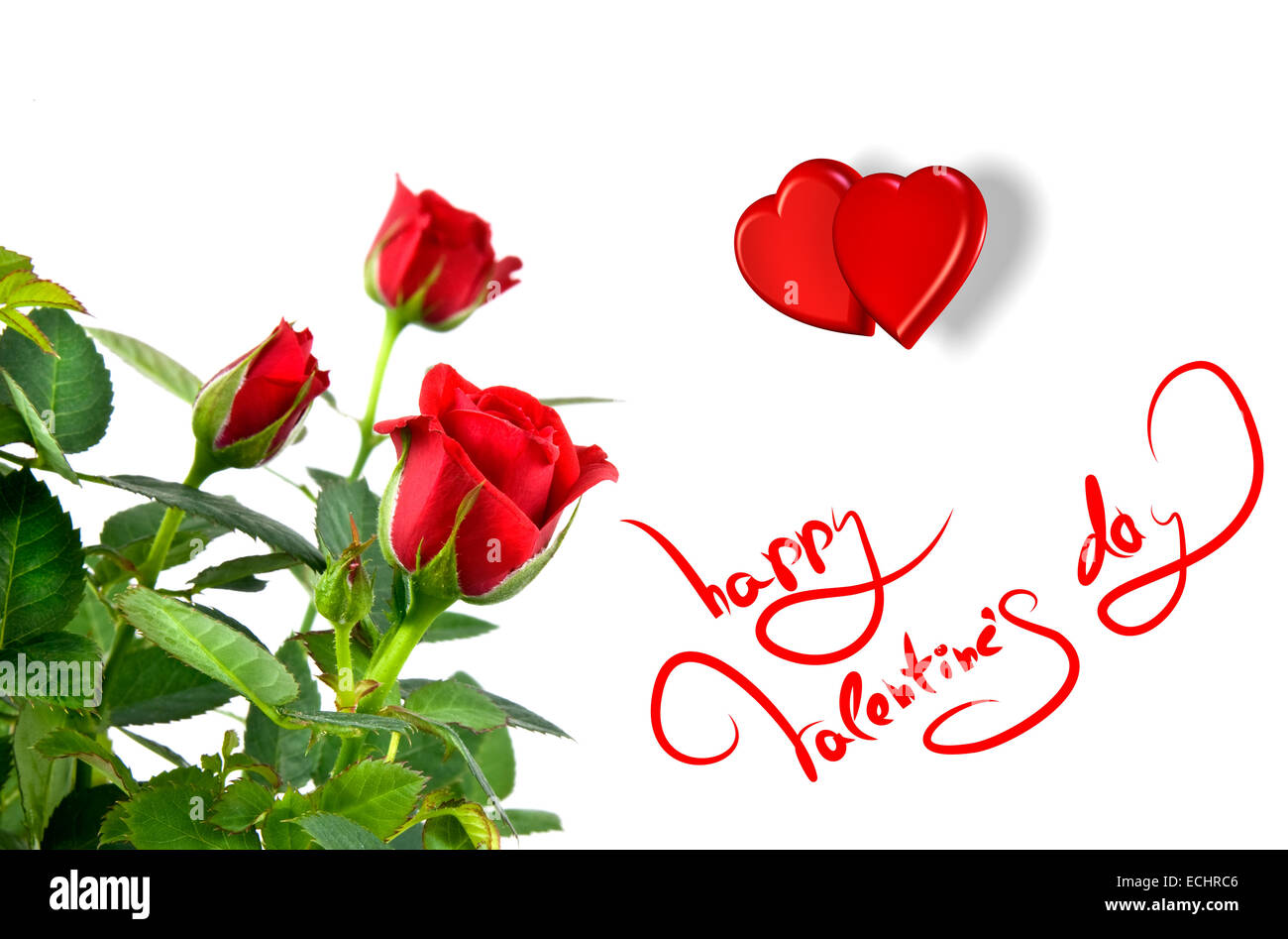 red roses with hearts and greetings for valentines day Stock Photo - Alamy