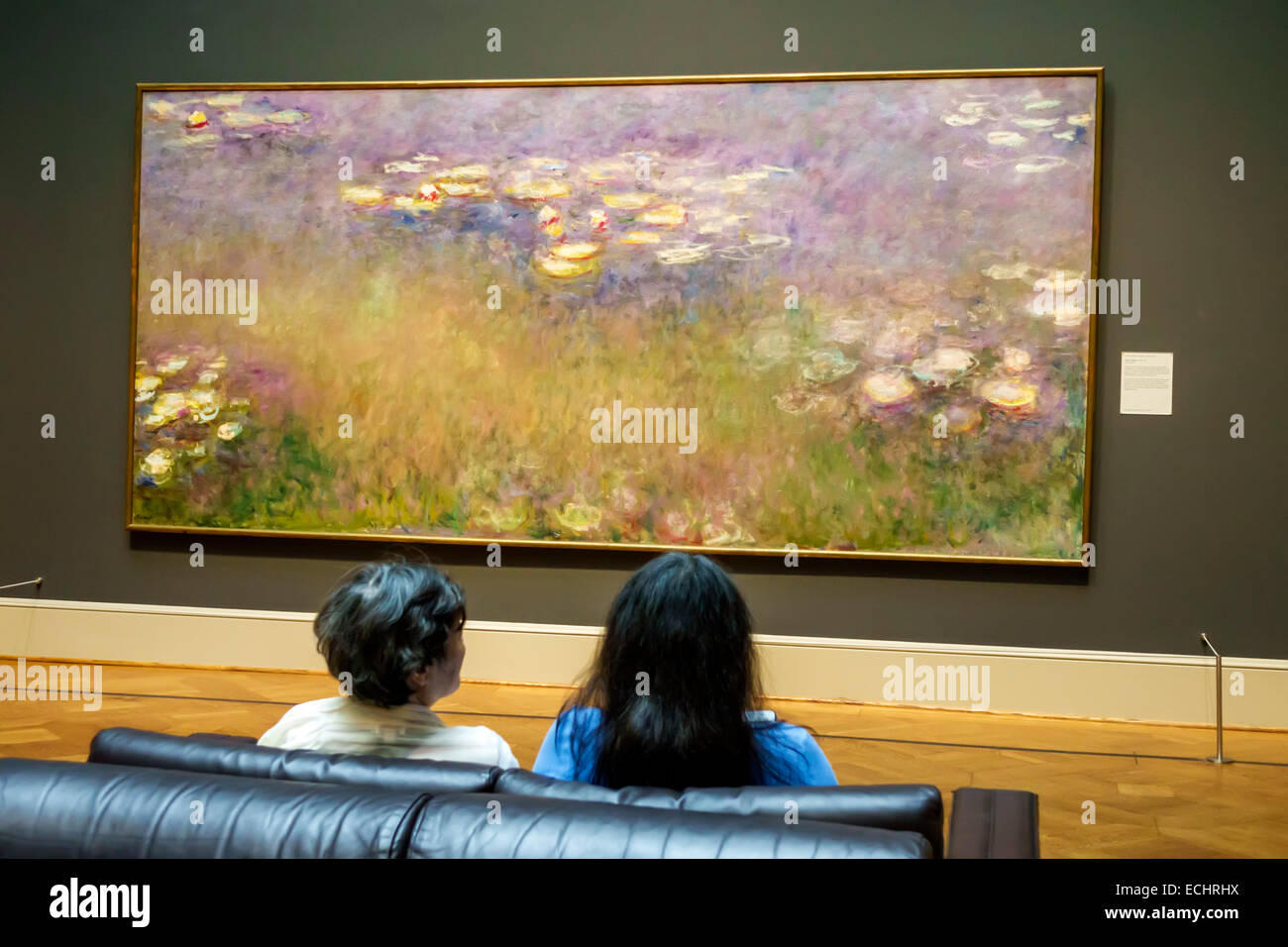 Saint St. Louis Missouri,Forest Park,Saint Louis Art Museum,gallery