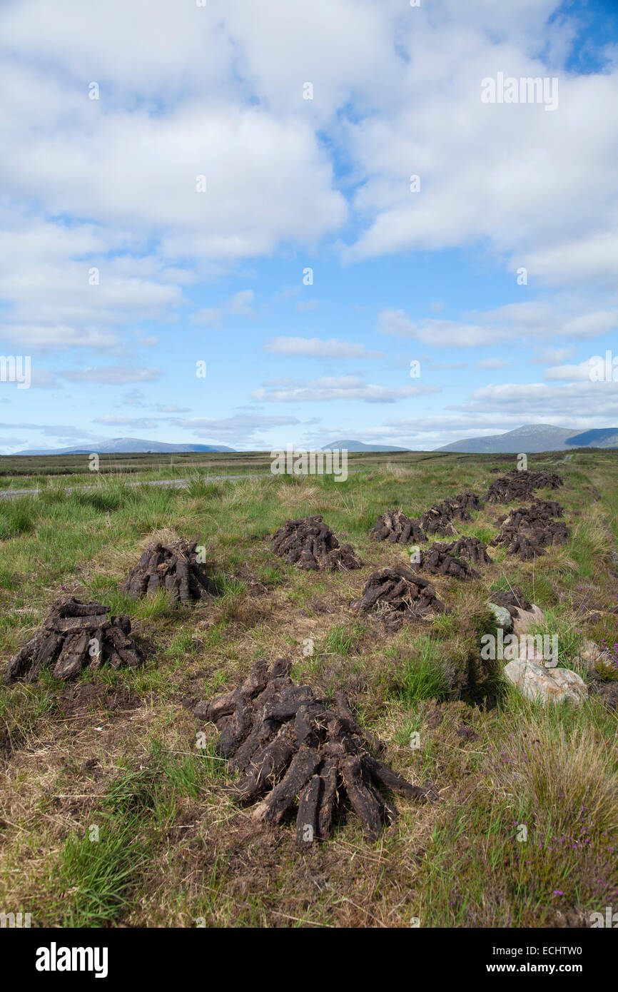 Turf stacks drying beneath the Nephin Beg Mountains, County Mayo, Ireland. Stock Photo