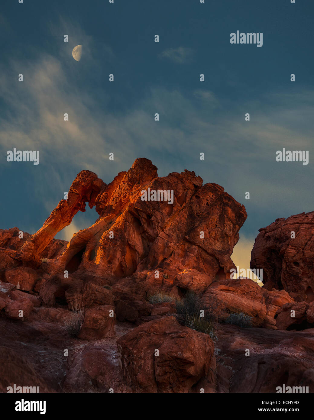A vertical fine art style image of Elephant Rock at Valley of Fire State Park near Las Vegas Nevada. Stock Photo