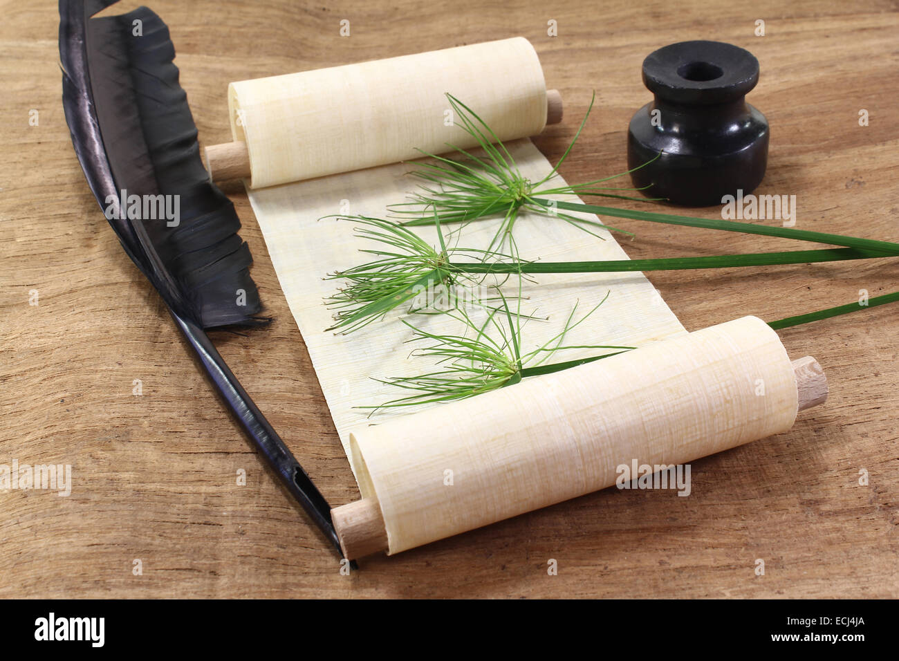 Papyrus scroll with plant, quill and inkwell Stock Photo