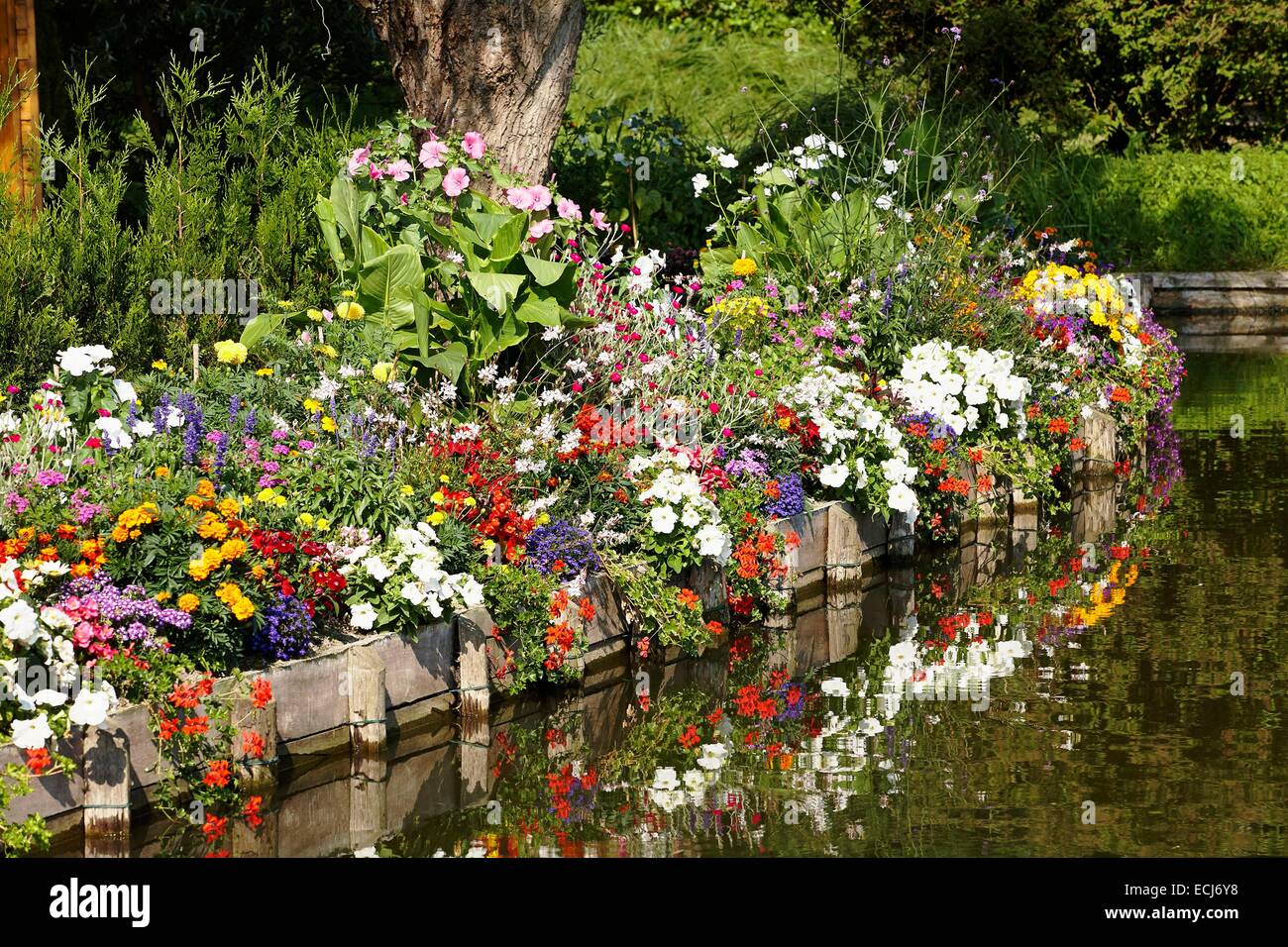 France, Somme, Amiens, Hortillonnages, Floating Gardens, gardens