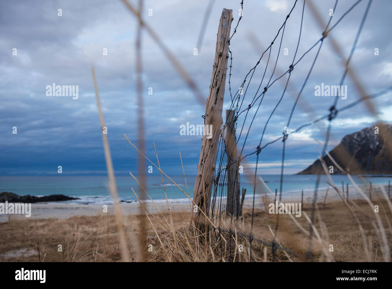 Old fence and dry grass with Skagsanden beach in background, Flakstadøy, Lofoten Islands, Norway Stock Photo