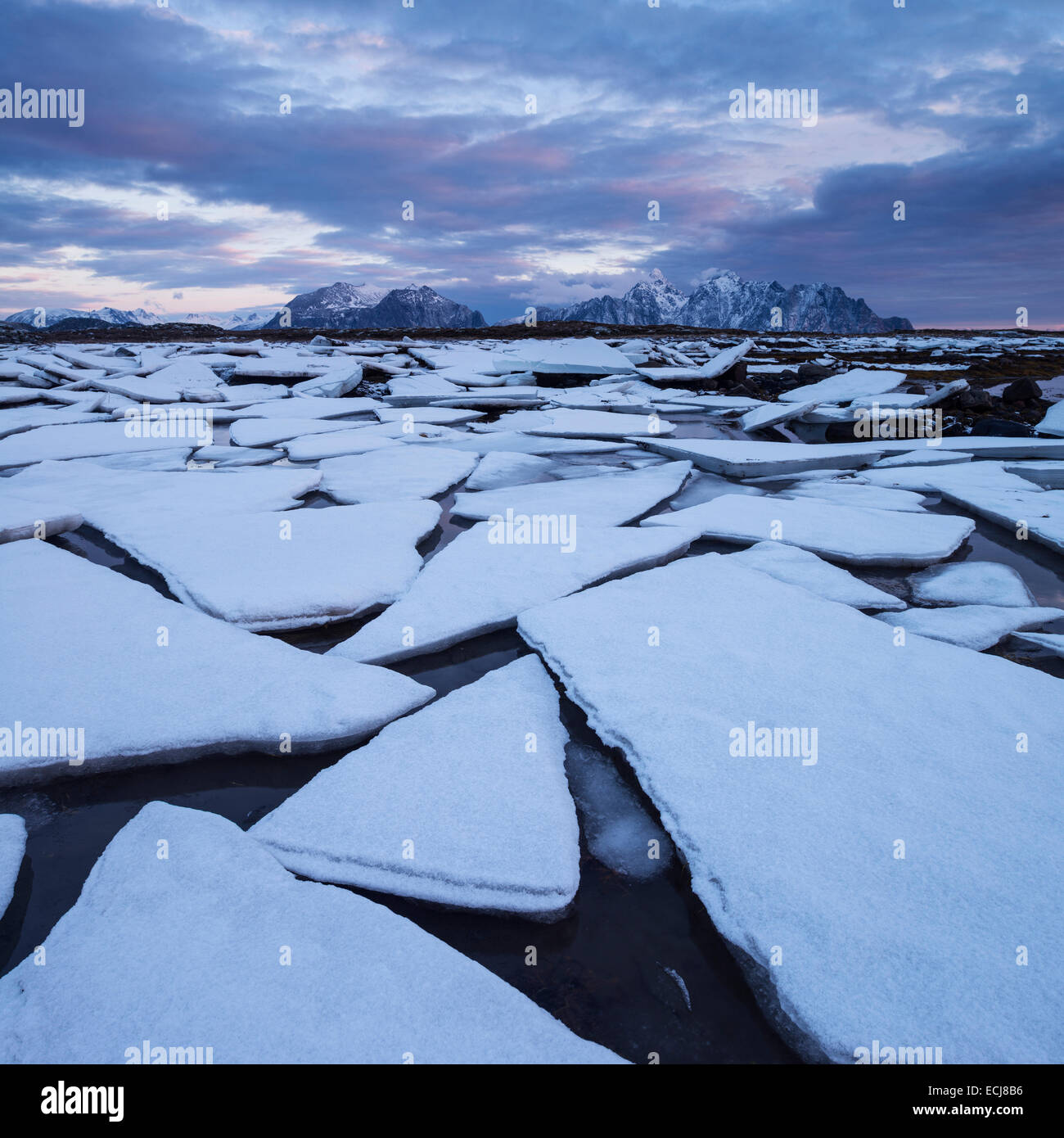 Frozen sea ice along winter coastline, near Nedredal, Vestvågøy, Lofoten Islands, Norway Stock Photo