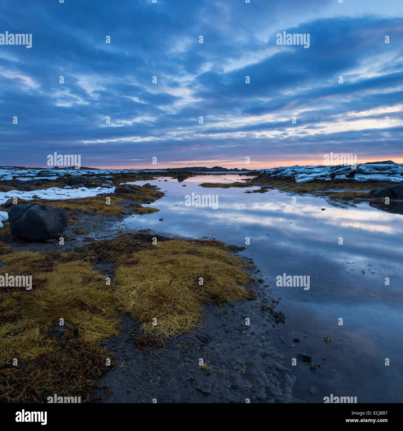 Coastal mudflats at sunset, near Nedredal, Vestvågøy, Lofoten Islands, Norway Stock Photo