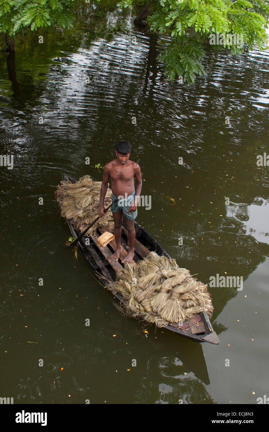 Farmer carrying jute by boat. Jute in Bangladesh is called 'The Golden Fiber'is used for exporting jute products.Bangladesh is the world's largest producer of jute, a fibrous substance used in making burlap, sacks, mats, rope and twine, and carpet backing. Stock Photo