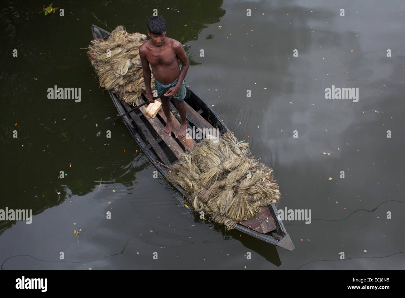 Farmer carrying jute using boat. Jute in Bangladesh is called 'The Golden Fiber'is used for exporting jute products.Bangladesh is the world's largest producer of jute, a fibrous substance used in making burlap, sacks, mats, rope and twine, and carpet backing. Stock Photo