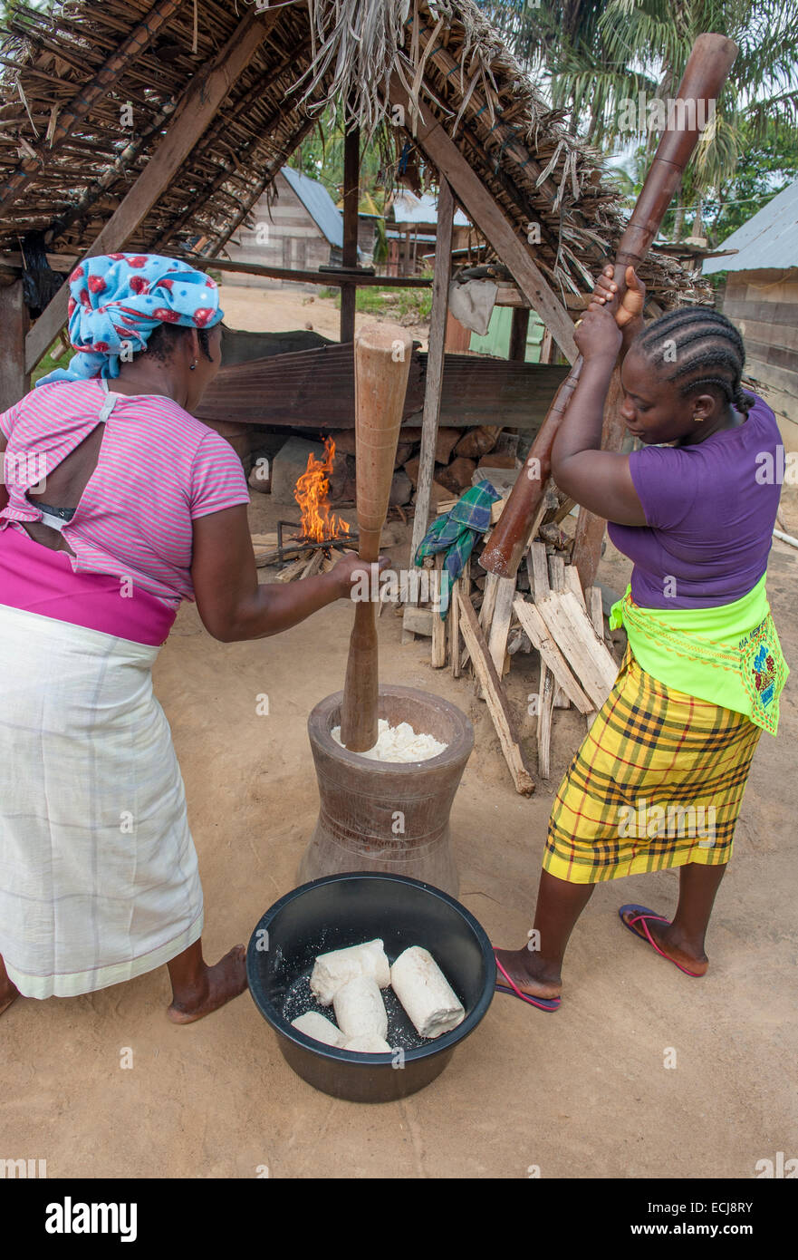Preparation of Cassava bread, a traditional food of the indigenous and