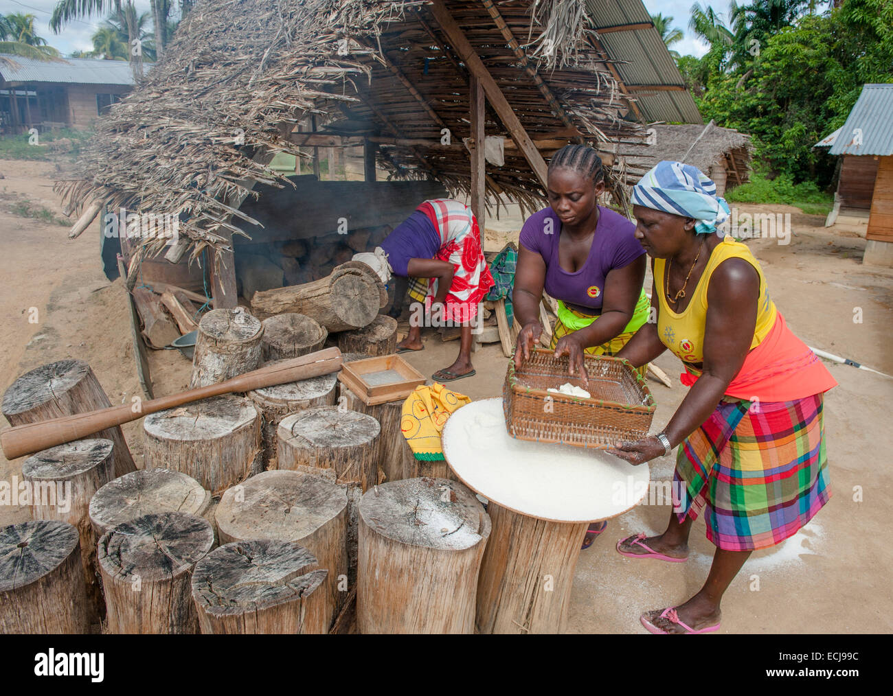Preparation of Cassava bread, a traditional food of the indigenous and