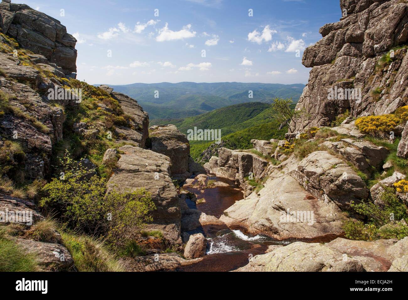 France, Herault, parc naturel regional du Haut Languedoc (regional ...