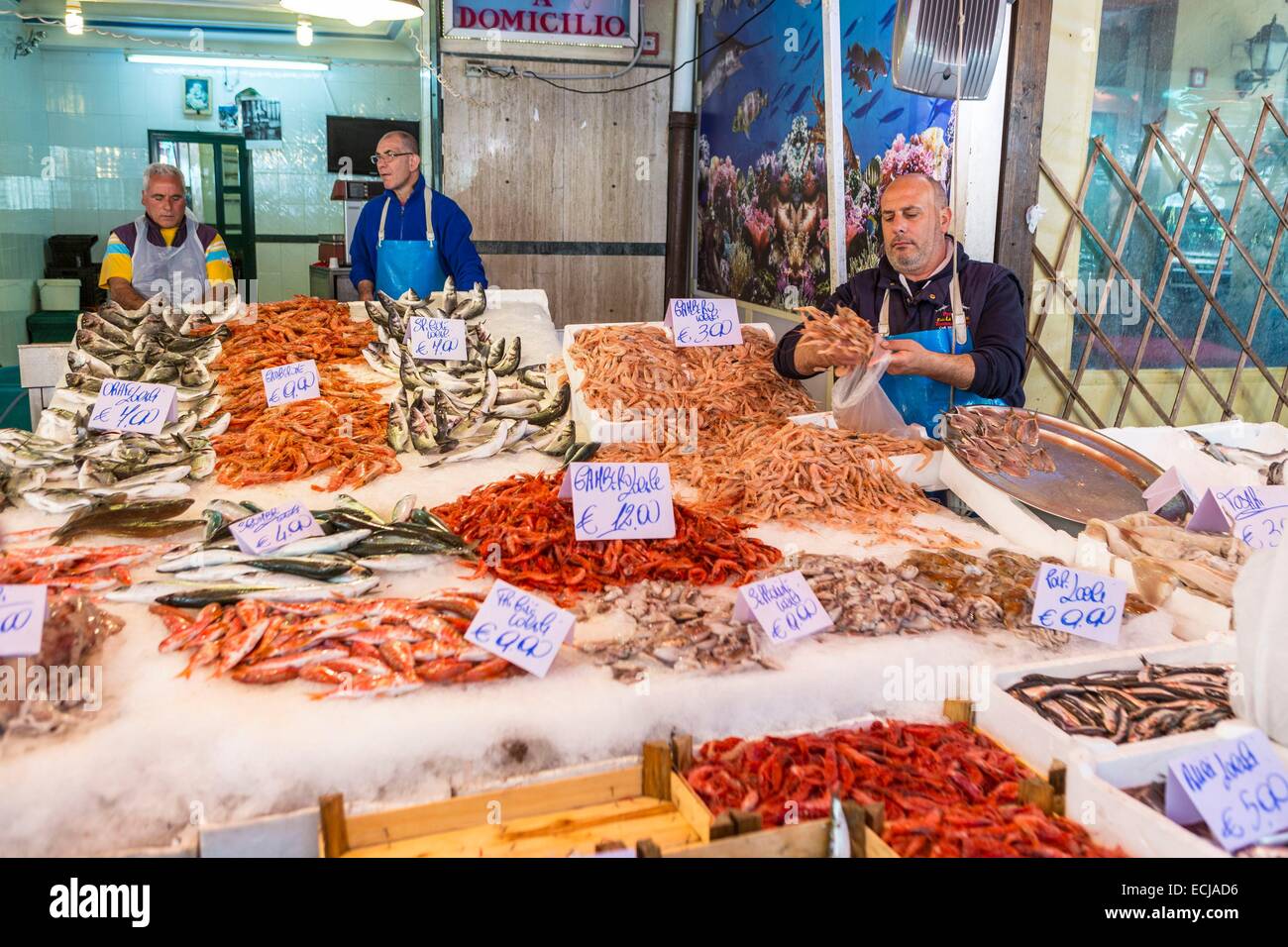 Italy, Sicily, Palermo, Ballaro market, sellers of fish and shellfish Stock Photo