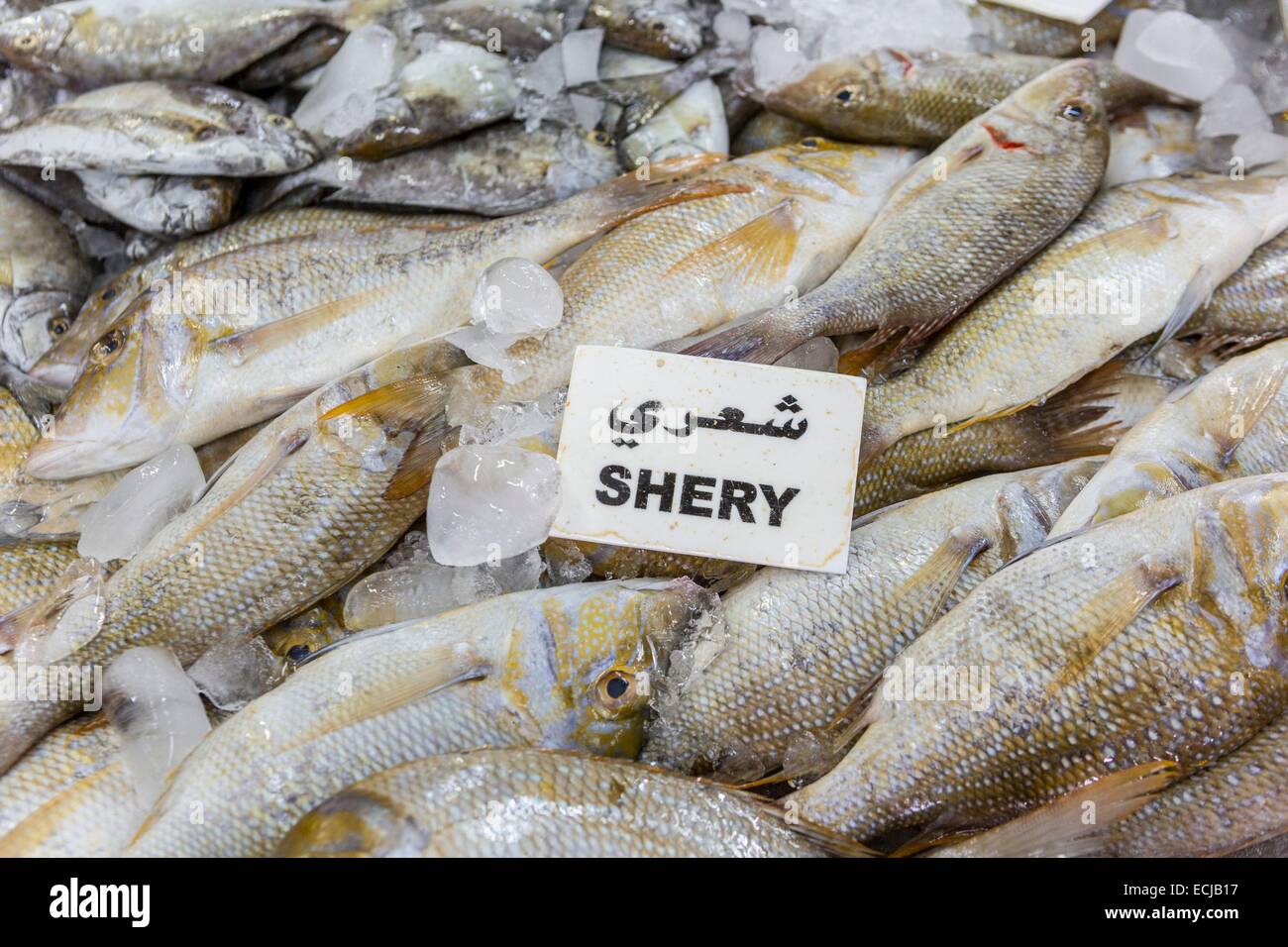 United Arab Emirates, Abu Dhabi, the fish market Stock Photo Alamy
