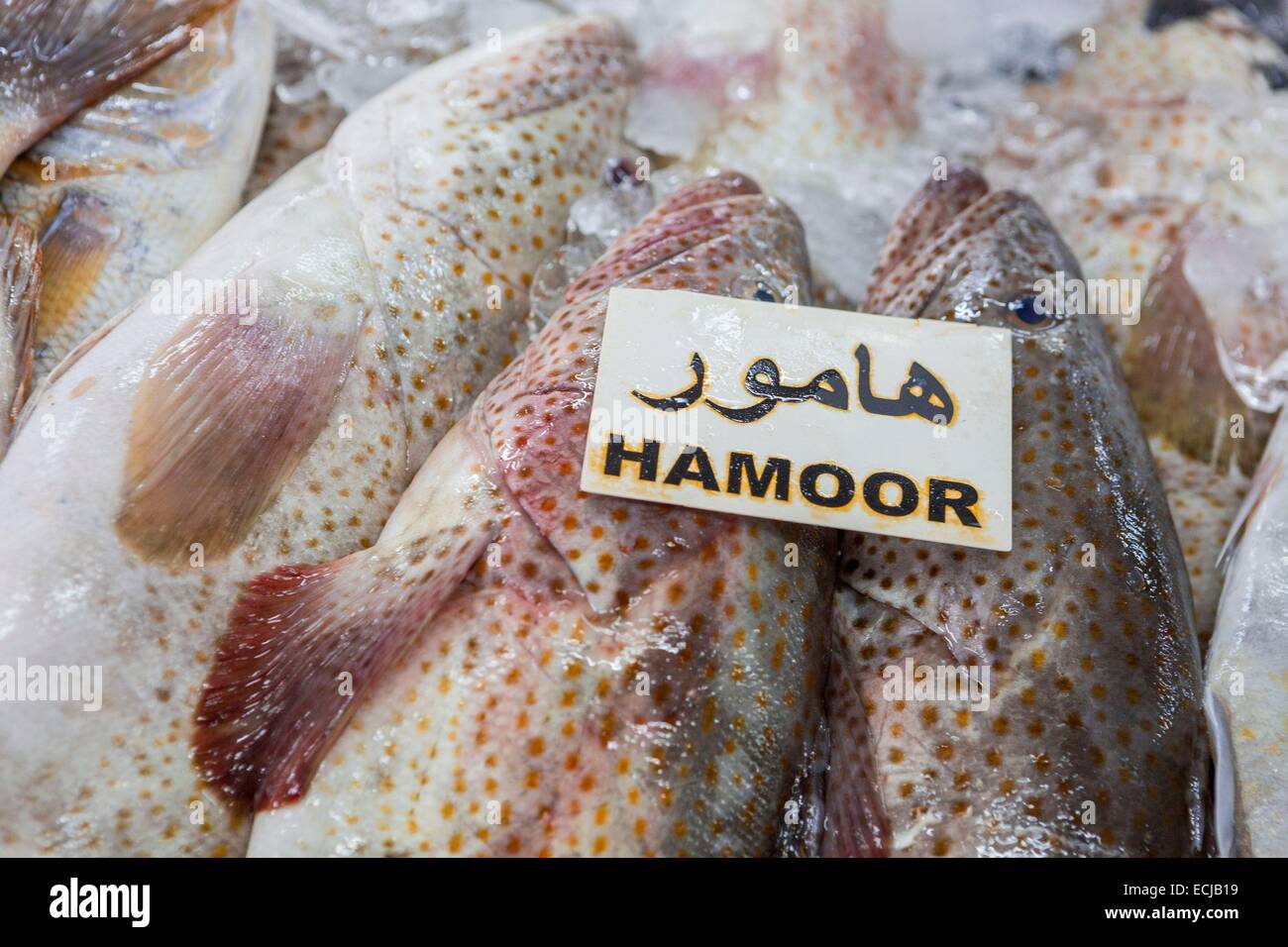 United Arab Emirates, Abu Dhabi, the fish market Stock Photo Alamy