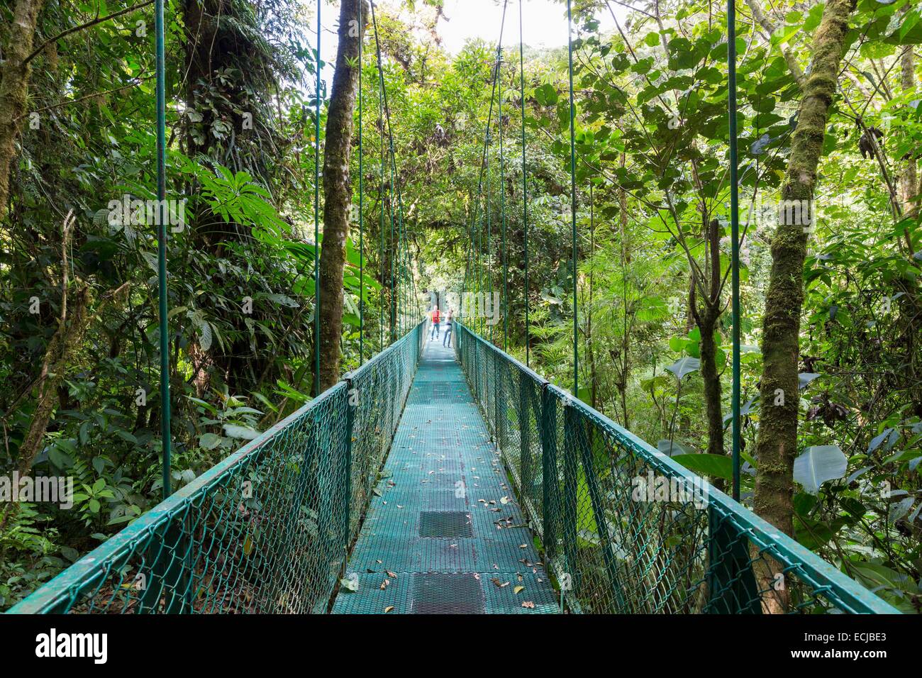 Costa Rica, Puntarenas Province, Santa Elena, canopy tour, suspension bridge Stock Photo