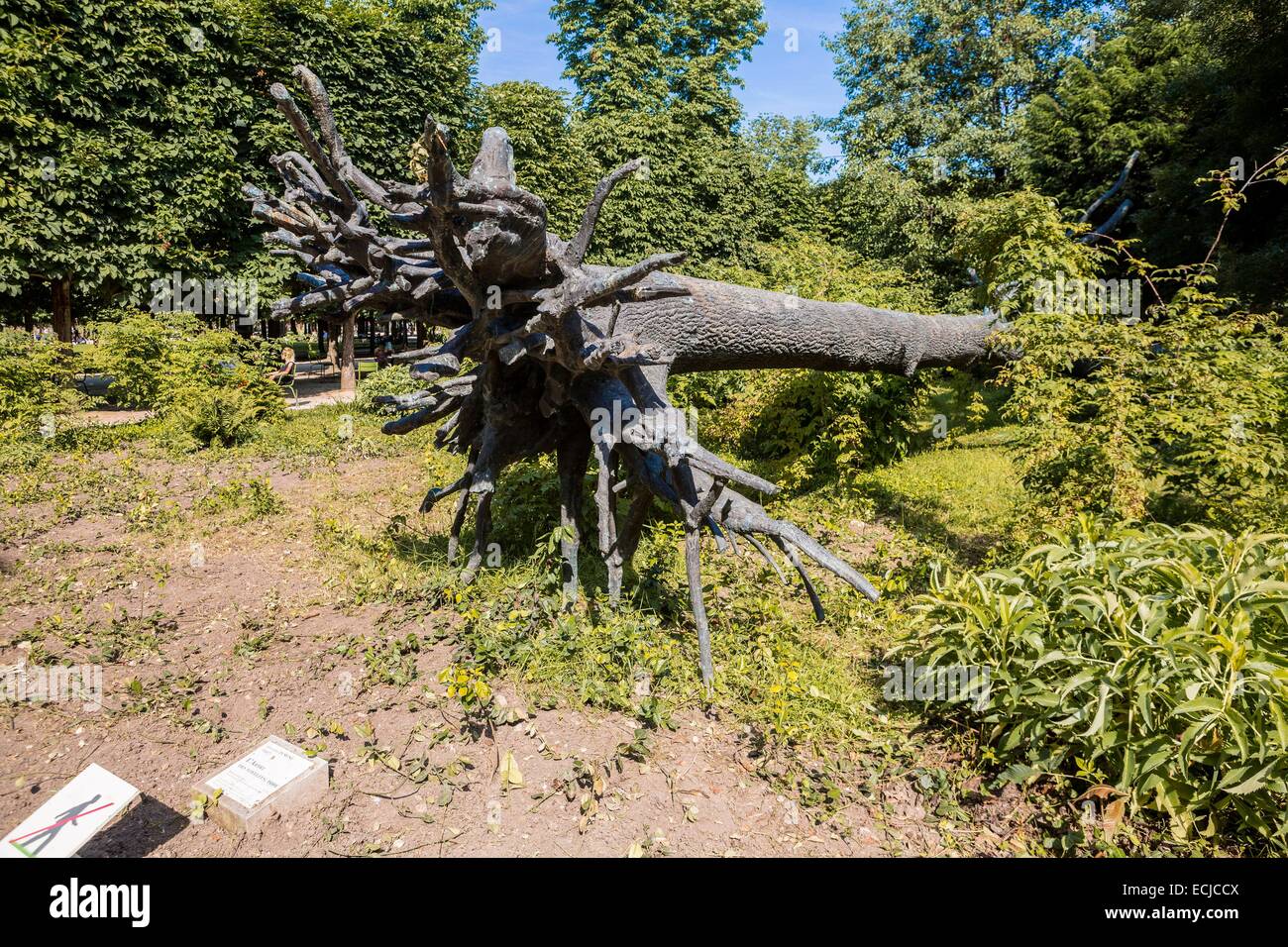 France, Paris, area listed as World Heritage by UNESCO, the Tuileries  Gardens, listed as historical monuments in 1914 sculpture The Vowel Tree  1999 Giuseppe Penone Stock Photo - Alamy