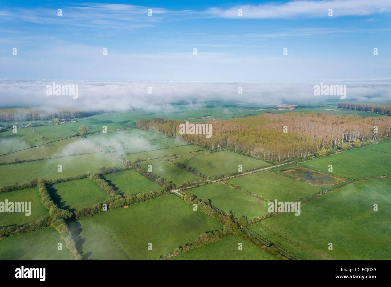 France, Calvados, Corbon, Carrefour Saint Jean, Pays d'Auges landscape, Dives marsh (aerial view) Stock Photo