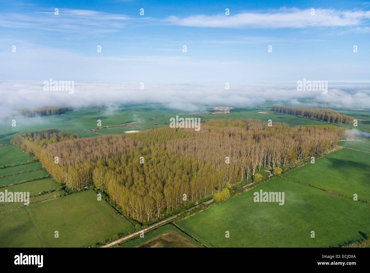 France, Calvados, Corbon, Carrefour Saint Jean, Pays d'Auges landscape, Dives marsh (aerial view) Stock Photo