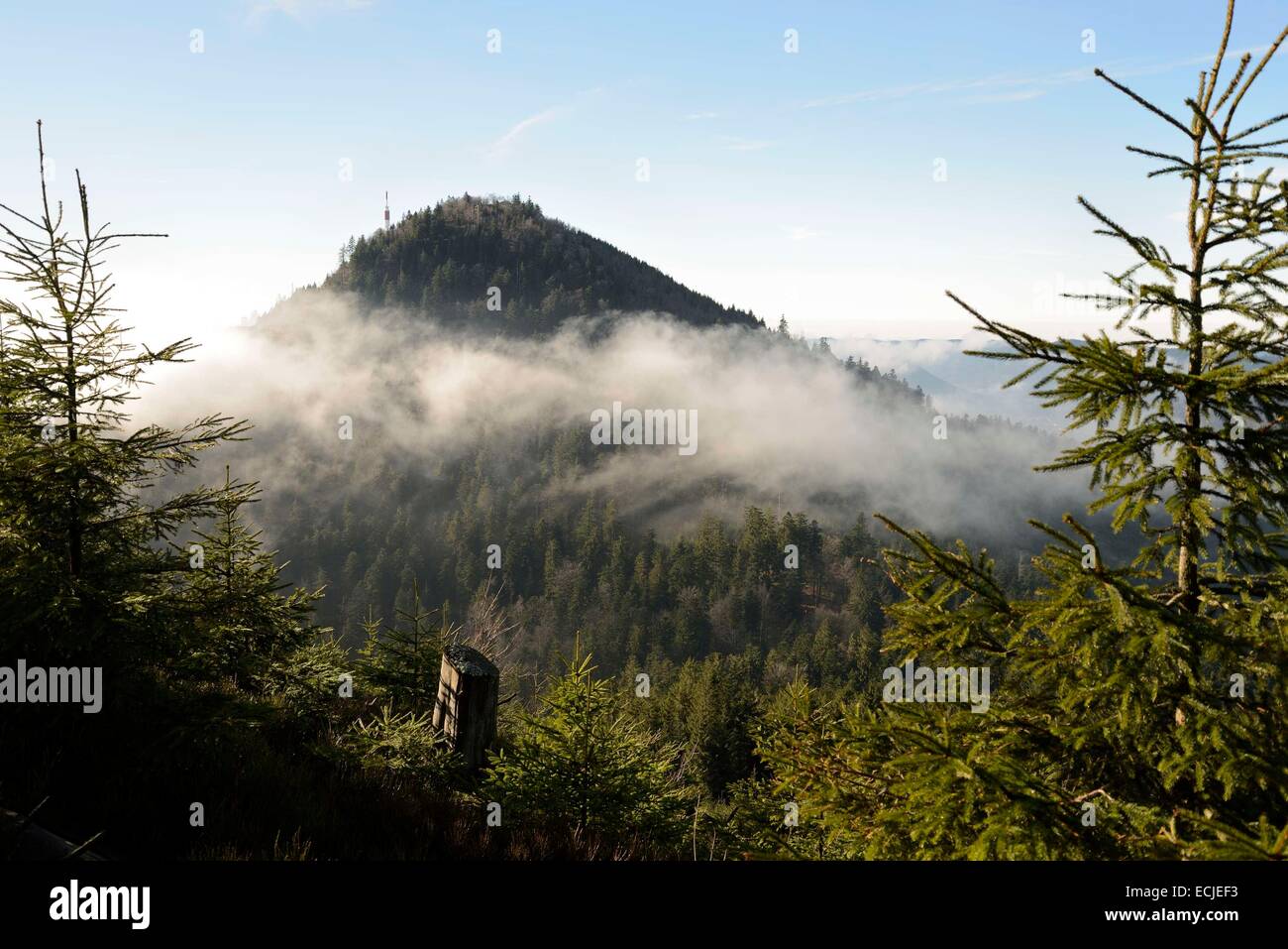 France, Bas Rhin, Petit Donon, overlooking Grand Donon Stock Photo - Alamy