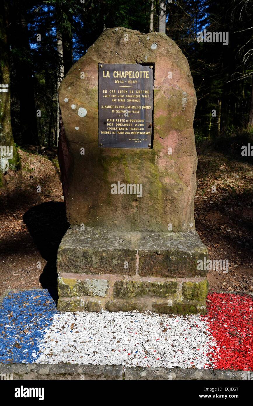 France, Meurthe et Moselle, near Badonviller, Col de la Chapelotte, heavy fighting during World War, monument of Souvenir Francais Stock Photo