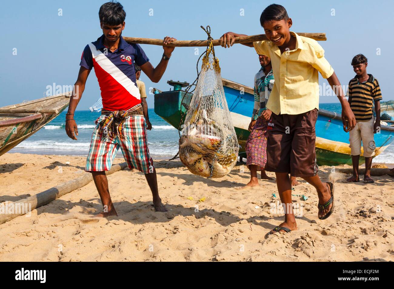 India, Odisha, Gopalpur, fishermen carrying fish in a net Stock Photo