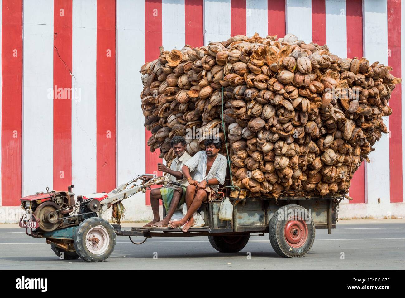 Sri Lanka, Northern province, Jaffna, loading wads of coconut fibers